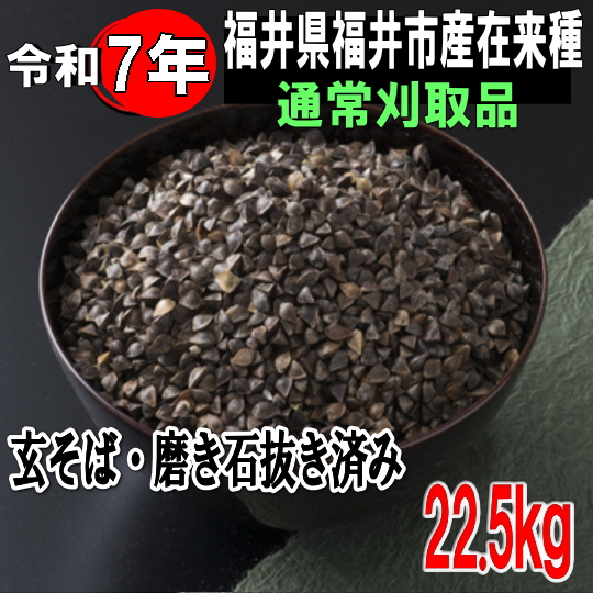 令和7年産!!福井県産在来種・玄そば磨き石抜き済み1等品【22.5kg】※早刈りではありません