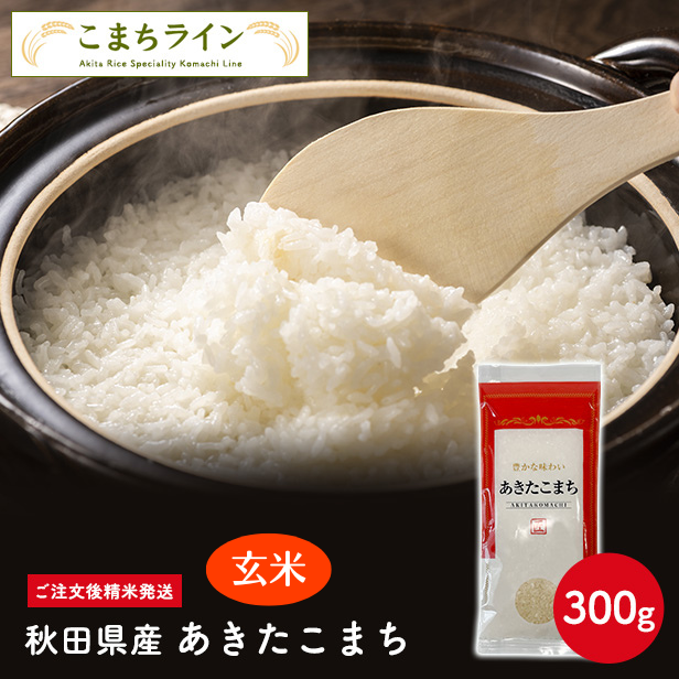 【玄米300g】令和5年産 秋田県産 あきたこまち 300g  送料無料