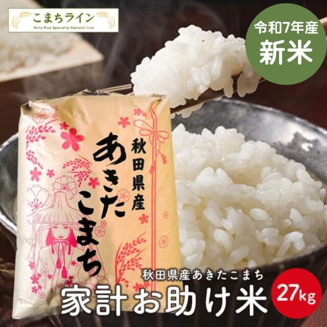 2019年　秋田県産　あきたこまち　30kg ×4  新米 あきたこまち こまちライン
