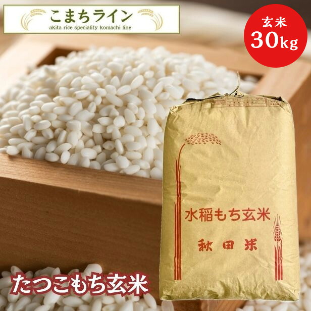 もち米 秋田県産 たつこもち 玄米30kg 米びつ当番【天鷹唐辛子】プレゼント付き
