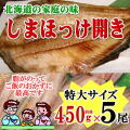 shimahokke-5p