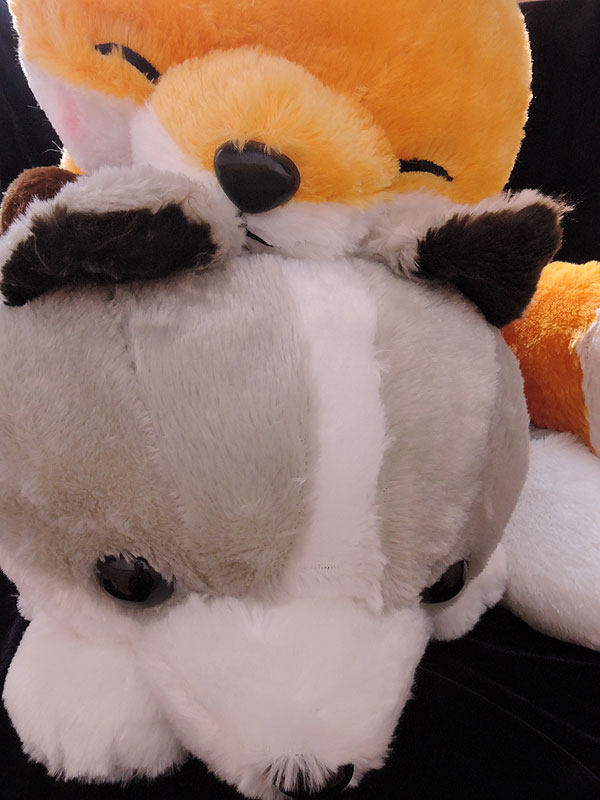 子ぎつねこんこんしっぽをクルンＢＩＧ