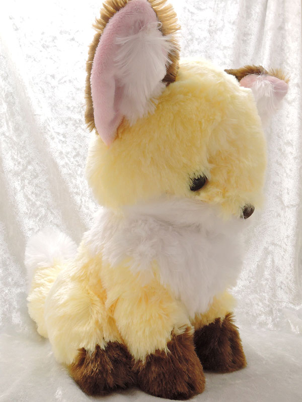 アミューズ：ちょコンとキツネJB