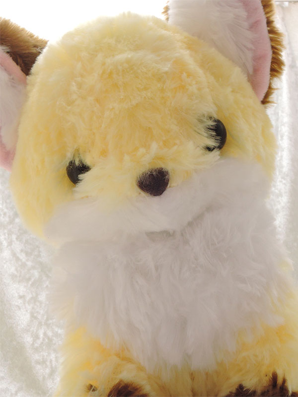 アミューズ：ちょコンとキツネJB 