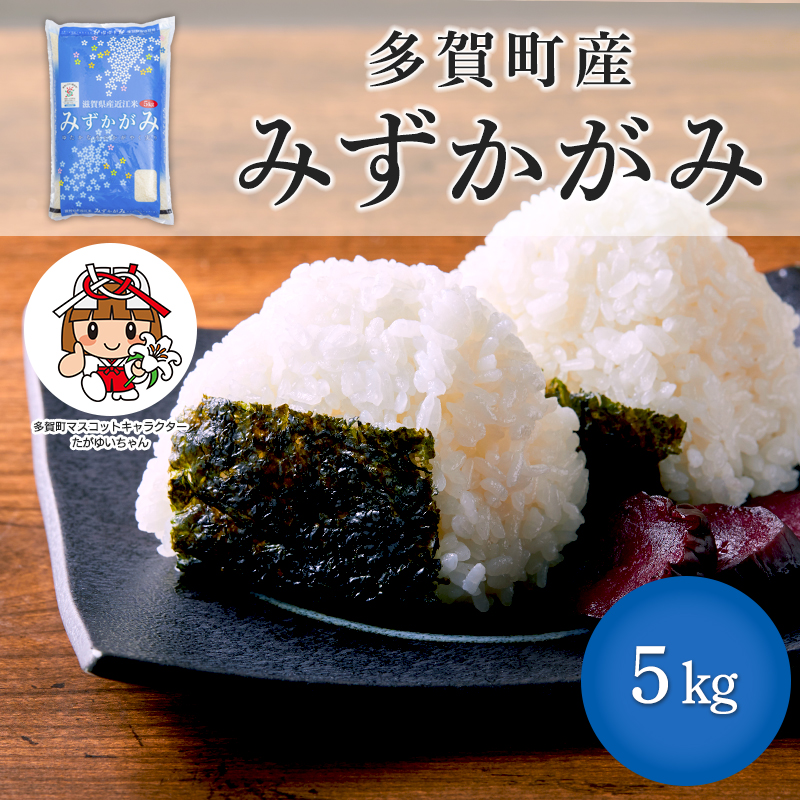 地域限定多賀町産みずかがみ5キロ