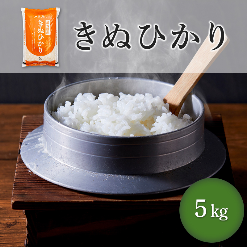 キヌヒカリ 5kg ｜【定期購入】 ◎送料無料／地域限定