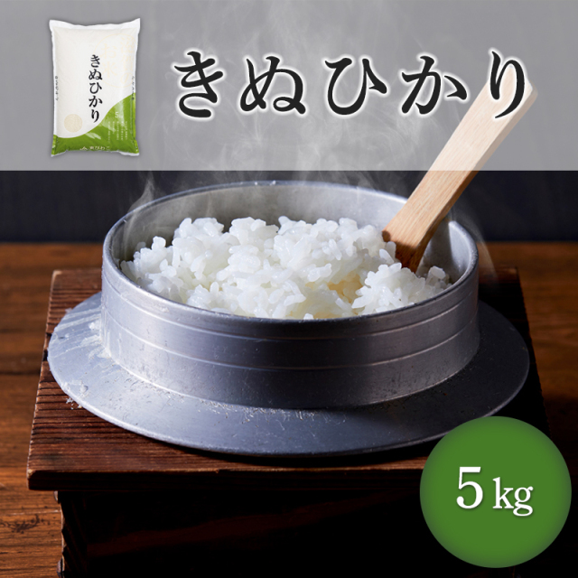 きぬひかり