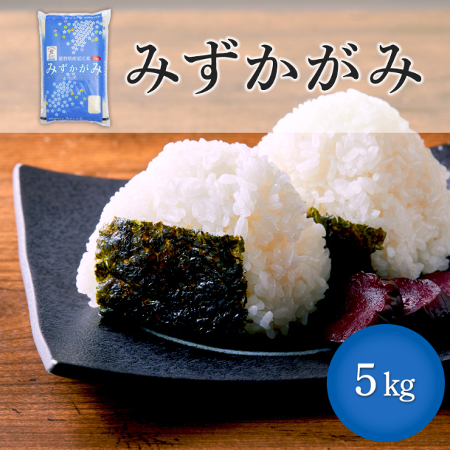令和6年産≪ＢＧ無洗米≫みずかがみ5kg ◎送料無料(北海道沖縄離島を除く)