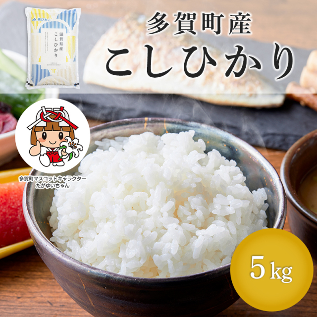 地域限定多賀町産こしひかり5キロ