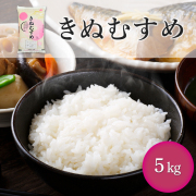 きぬむすめ 5kg 白米 ｜【定期購入】 ◎送料無料／地域限定