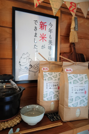 新潟産コシヒカリ