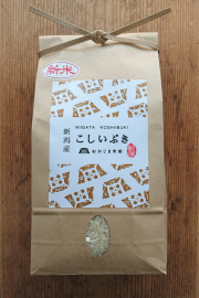 新潟産こしいぶき