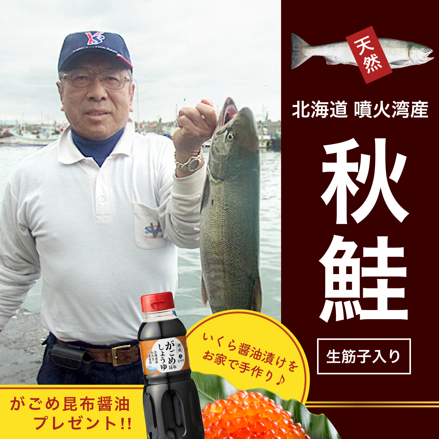 「※終了しました」鮭　2.8〜3.5k　〈2024年新物〉北海道噴火湾産　天然秋サケ＜冷蔵便＞送料別途