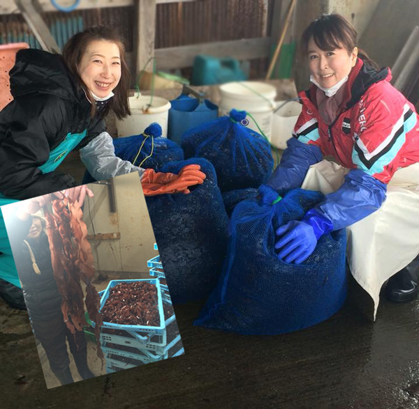 昆布村　がごめ昆布