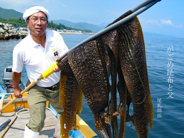 がごめ昆布しょうゆ