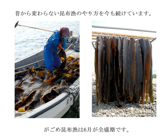 がごめ昆布 海の栄養豊富☆自然食品 フコイダンたっぷり 昆布村