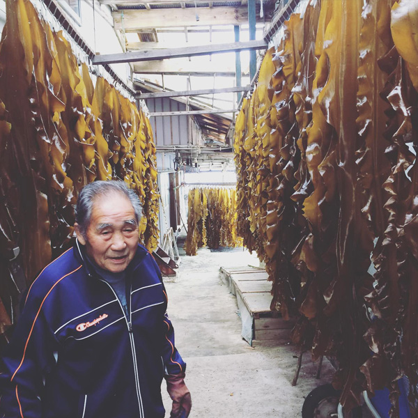 尾札部産　上一等真昆布