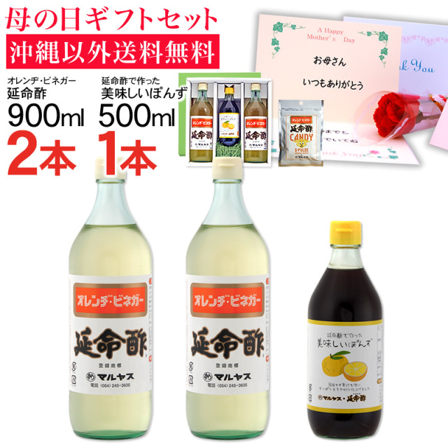 送料無料 お中元サマーギフト おいしい酢の物 すし酢 かんたん酢レシピ付き 延命酢 延命酢