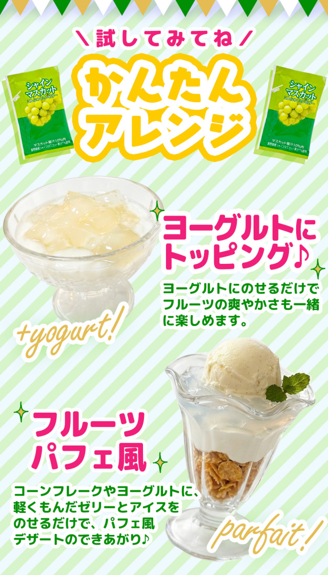 長野県産 シャインマスカット こんにゃくゼリー 個包装 ダイエット