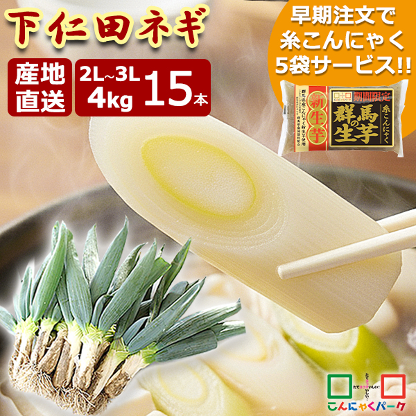 【予約販売｜12/8～12/22までに発送】2025年度産の下仁田ネギを数量限定で販売中♪ 買えるのはこの季節だけ 太くて美味しい2L～3Lサイズ！ 贈答品にもおすすめ 太いからこそ下仁田ねぎ 厳選した良質なねぎを集めました！ 4kg 15本入り 群馬県産 産地直送 こんにゃくパーク