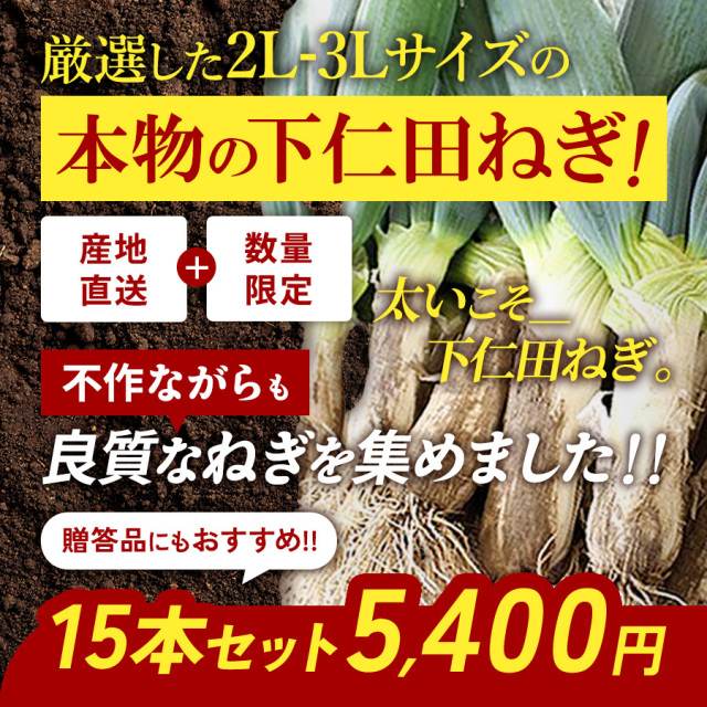 下仁田ねぎ 下仁田ネギ 群馬県産 2L～3Lサイズ 産地直送｜こんにゃくパーク
