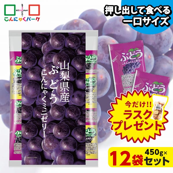 【23%OFF】今ならラスクプレゼント！こんにゃくゼリー ひとくち蒟蒻ゼリー 山梨県産 ぶどう こんにゃくミニゼリー 乳酸菌配合 こんにゃくパーク パウチ 大容量 業務用 個包装タイプ ダイエット食品 ダイエットゼリー 蒟蒻 ヨコオデイリーフーズ (1袋450g/約30個 ×12袋入)