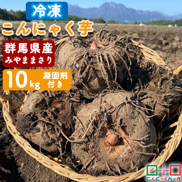 【2025年度秋～冬収穫｜期間限定】 こんにゃく芋 冷凍 群馬県産 みやままさり 生芋こんにゃく 手作りこんにゃく 産地直送 10kg 凝固剤100gサービス こんにゃくパーク