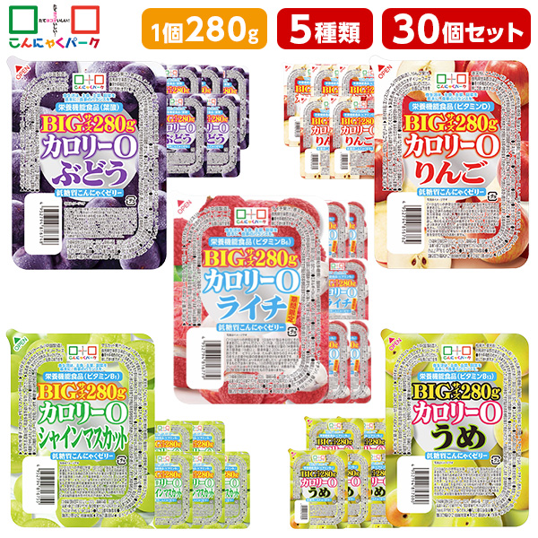 【31%OFF】こんにゃくゼリー ダイエット食品 食べ比べセット 0カロリー 低糖質こんにゃくゼリー ぶどう りんご シャインマスカット うめ ライチ まとめ買い BIGサイズ カロリーゼロ ゼリー ダイエット 栄養機能食品 蒟蒻ゼリー ファスティング 5種類 1個280g 30個入