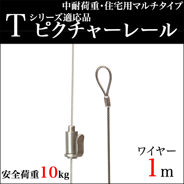 KSPピクチャーレール