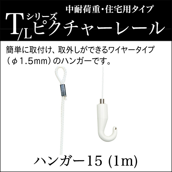 ピクチャーレール