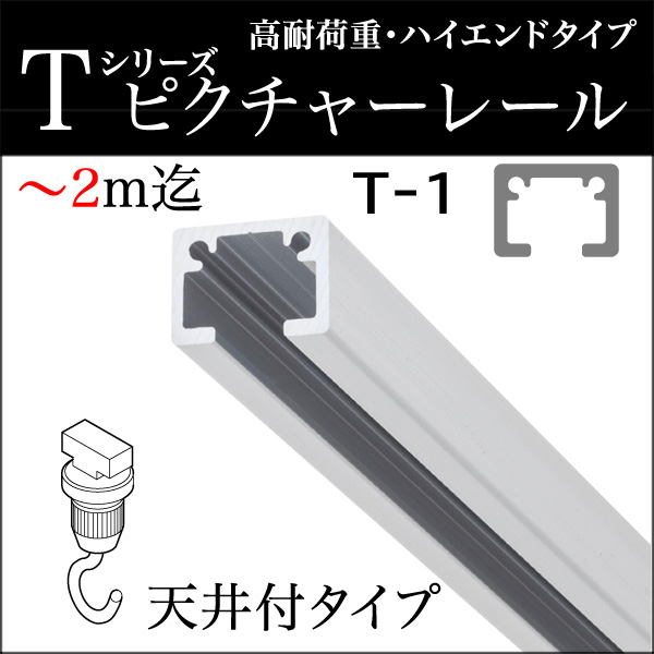 ピクチャーレール T-1（T1） ～ 2m迄 天井付けセット フック2個付き