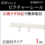 KSPピクチャーレール