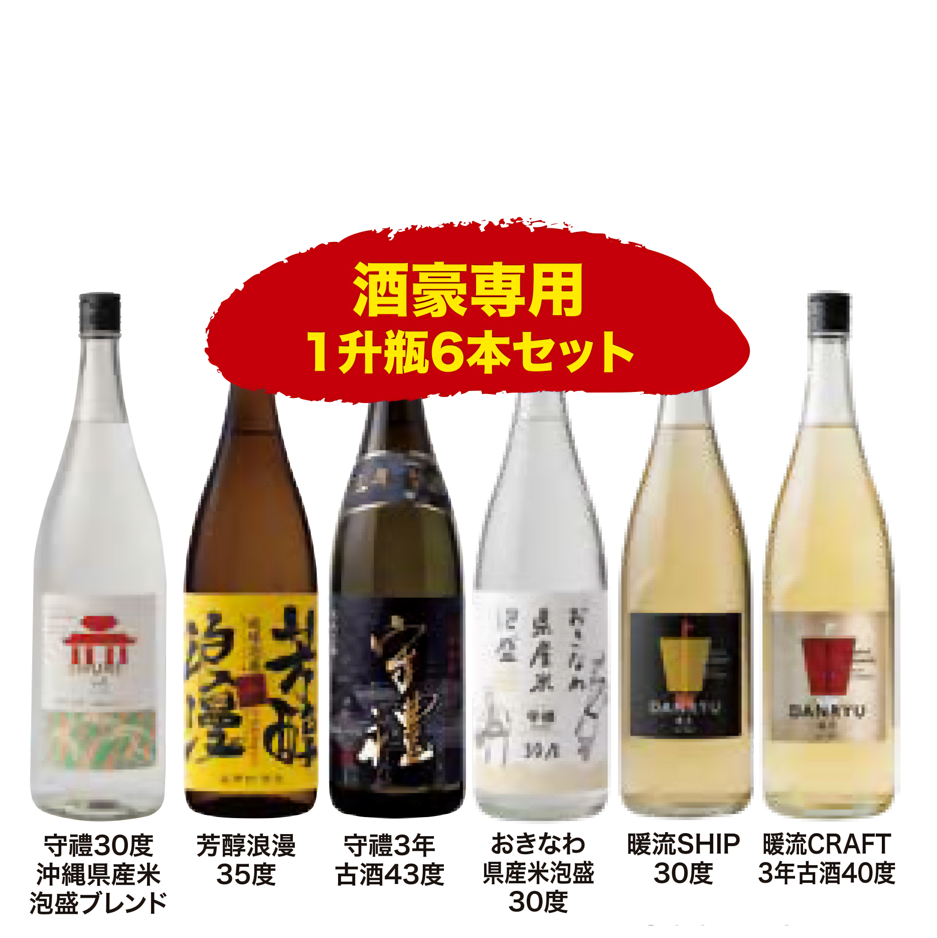酒豪専用１升瓶６本セット【送料無料】