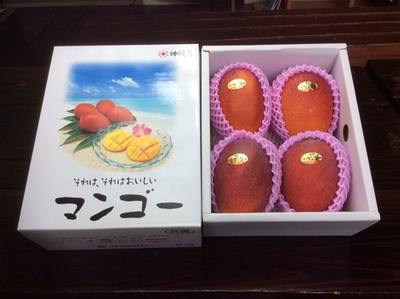 【先行予約受付】沖縄産完熟マンゴー（贈答用優品）【1.5Kg前後4～6玉入・ギフト箱入】【送料込】（お届け期間7/17～8/5予定）