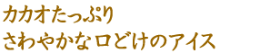 カカオたっぷりさわやかな口どけのアイス