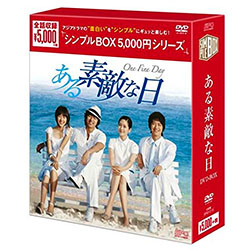 ある素敵な日 DVD-BOX <シンプルBOX 5000円シリーズ>
