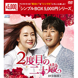 2度目の二十歳　DVD-BOX1（4枚組）〈シンプルBOX 5,000円シリーズ〉