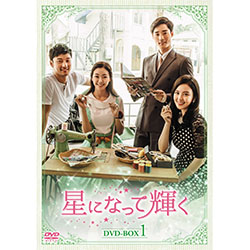 星になって輝く　DVD-BOX1