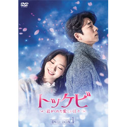 トッケビ～君がくれた愛しい日々～　DVD-BOX1  125分