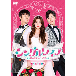 シングルワイフ～私の幸せはどっち？～ DVD-BOX