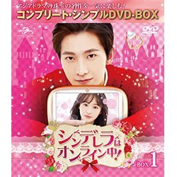 シンデレラはオンライン中！　BOX1 ＜コンプリート・シンプルDVD-BOX5,000円シリーズ＞【期間限定生産】