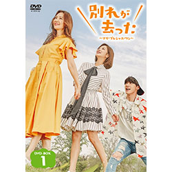 別れが去った～マイ・プレシャス・ワン～ DVD-BOX1