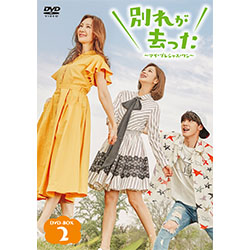 別れが去った～マイ・プレシャス・ワン～ DVD-BOX2