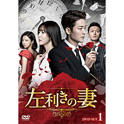 左利きの妻　DVD-SET1