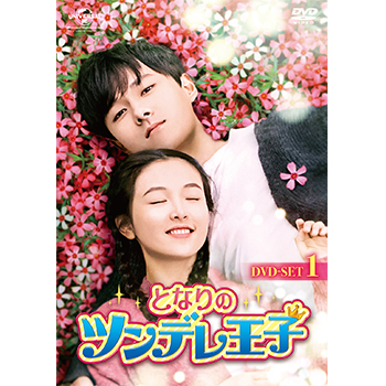 となりのツンデレ王子　DVD-SET1
