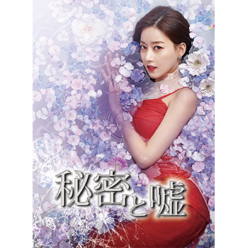 秘密と嘘 DVD-BOX2