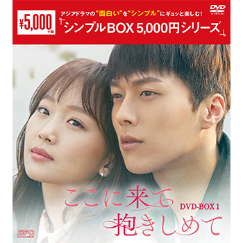 ここに来て抱きしめてDVD-BOX1 （5枚組）＜シンプルBOX 5,000円シリーズ＞