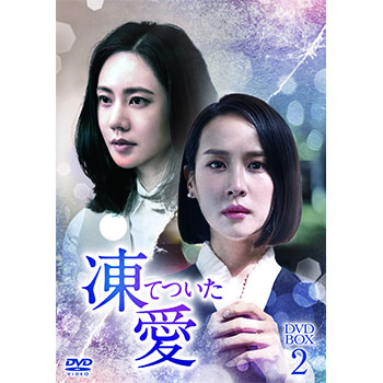 凍てついた愛 DVD-BOX2