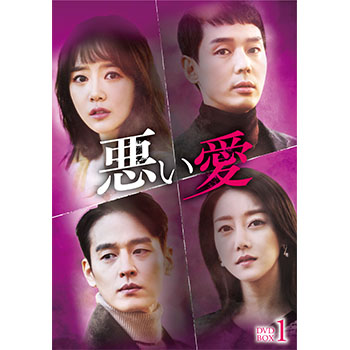 悪い愛 DVD-BOX1