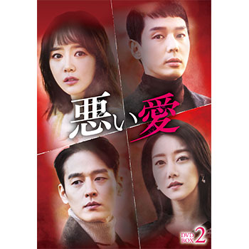 悪い愛 DVD-BOX2